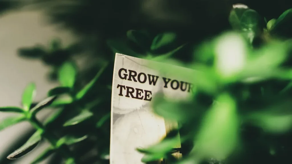 How Compound Interest Helps Grow Your Investments How Compound Interest Helps Grow Your Investments