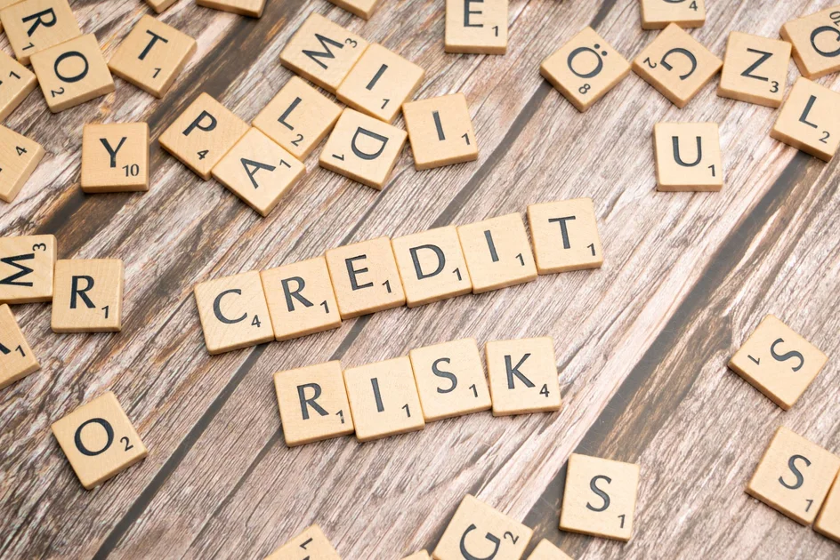 How Credit Scoring Models Function